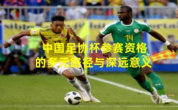 中国足协杯参赛资格的多元路径与深远意义