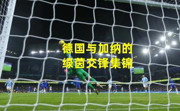 德国与加纳的绿茵交锋集锦